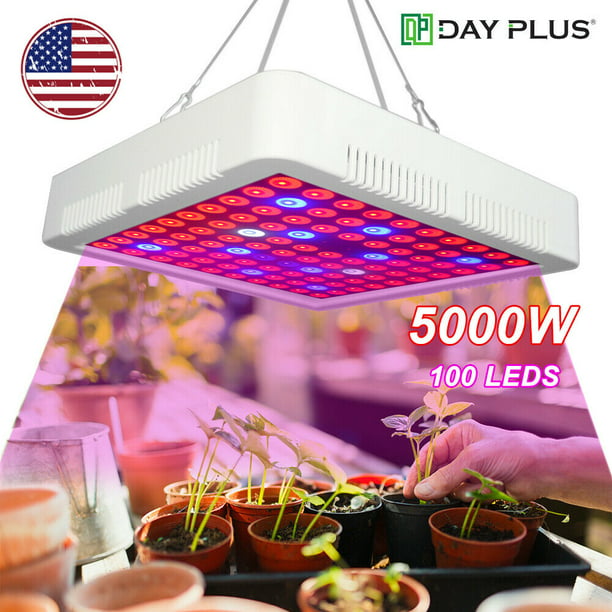 5000W LED Grow Light Full Spectrum for Indoor Hydroponic Lamp for Veg Herb Plant 
